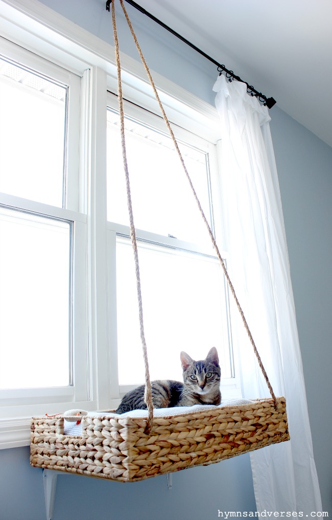 How To Make A Hanging Cat Perch — AllCraftIdeas