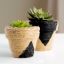 DIY Mini Planters for Your Tiny Succulent Garden