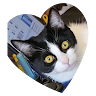 Pamela