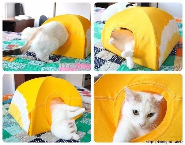 DIY Cat Tent from a T-Shirt and a Wire Hanger