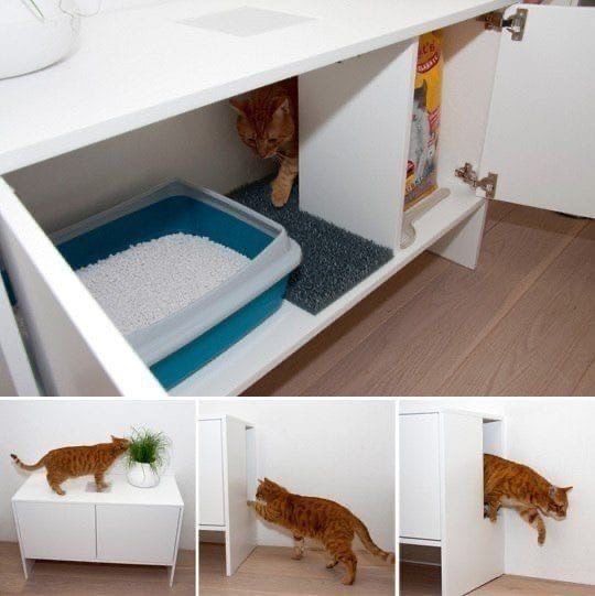 9 Clever Ways to Hide the Litter Box