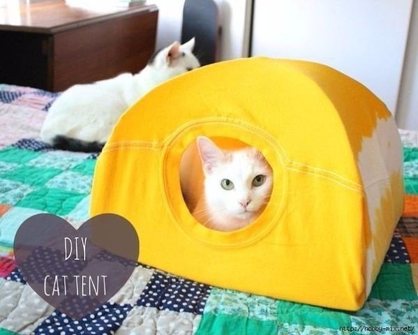 DIY Cat Tent from a T-Shirt and a Wire Hanger