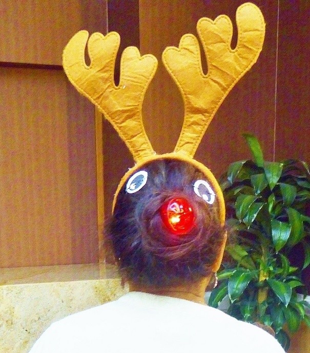 40 Most Creative Christmas Hairstyles Ever