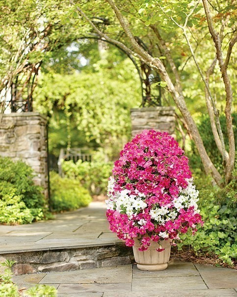 HOW TO MAKE FLOWER TOWER GARDEN HOW TO MAKE FLOWER TOWER GARDEN