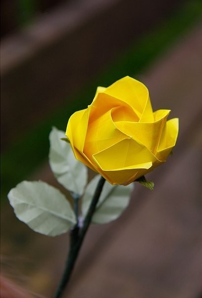 How To Make a Origami Paper Rose Bouquet How To Make a Origami Paper Rose Bouquet