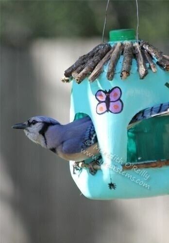 DIY Pop Bottle Birdhouses