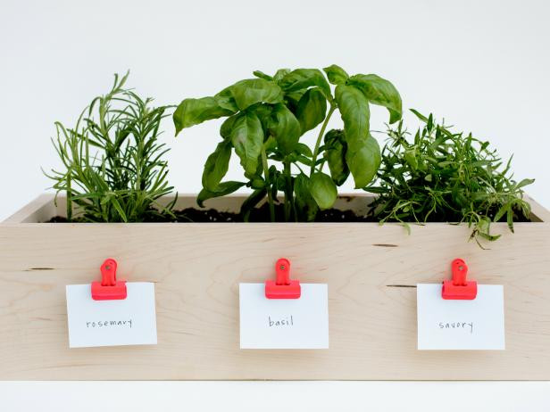 DIY Kitchen Herb Planter