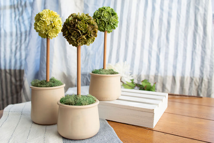 DIY Mini Topiaries