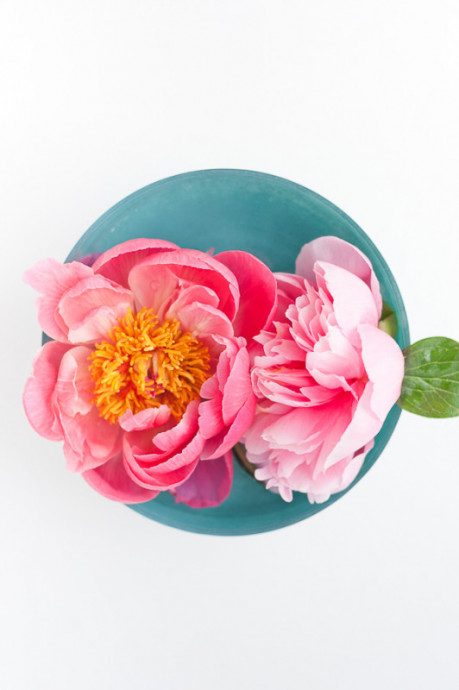 The Art of the Mini Arrangement. How to Quickly Arrange Teeny Tiny Bouquets in Vases The Art of the Mini Arrangement. How to Quickly Arrange Teeny Tiny Bouquets in Vases