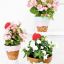 Waffle Cone Ice Cream Painted Flower Pots
