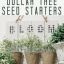 DIY Spring Decor with Seed Starters