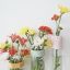 DIY Flower Vase with Concrete