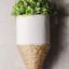 DIY Hanging Plastic Bottle Planter