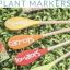 Wooden Spoon Plant Markers