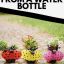 Adorable Plastic Bottle Ladybug Planters