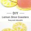 Easy and Adorable DIY Lemon Slice Coasters